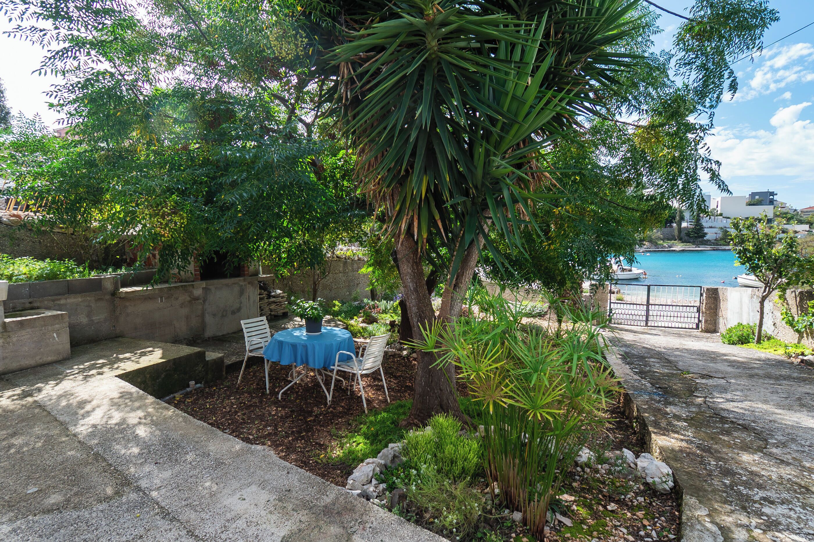 A patio with a table and chairs, surrounded by plants and a tree.