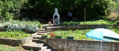 バーベキュー / ピクニック エリア