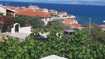 アパートメント (A1) | テラス / パティオ