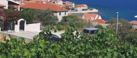 公寓 (A1) | 露台/庭院