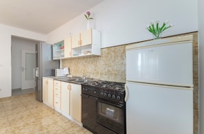 Apartment (A2) | Private kitchen | Fridge, microwave, stovetop, electric kettle - Apartment Karlo (Dugi Rat)