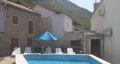 House Dragica