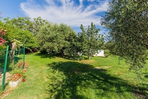 Courtyard - Apartment Lili (Umag)