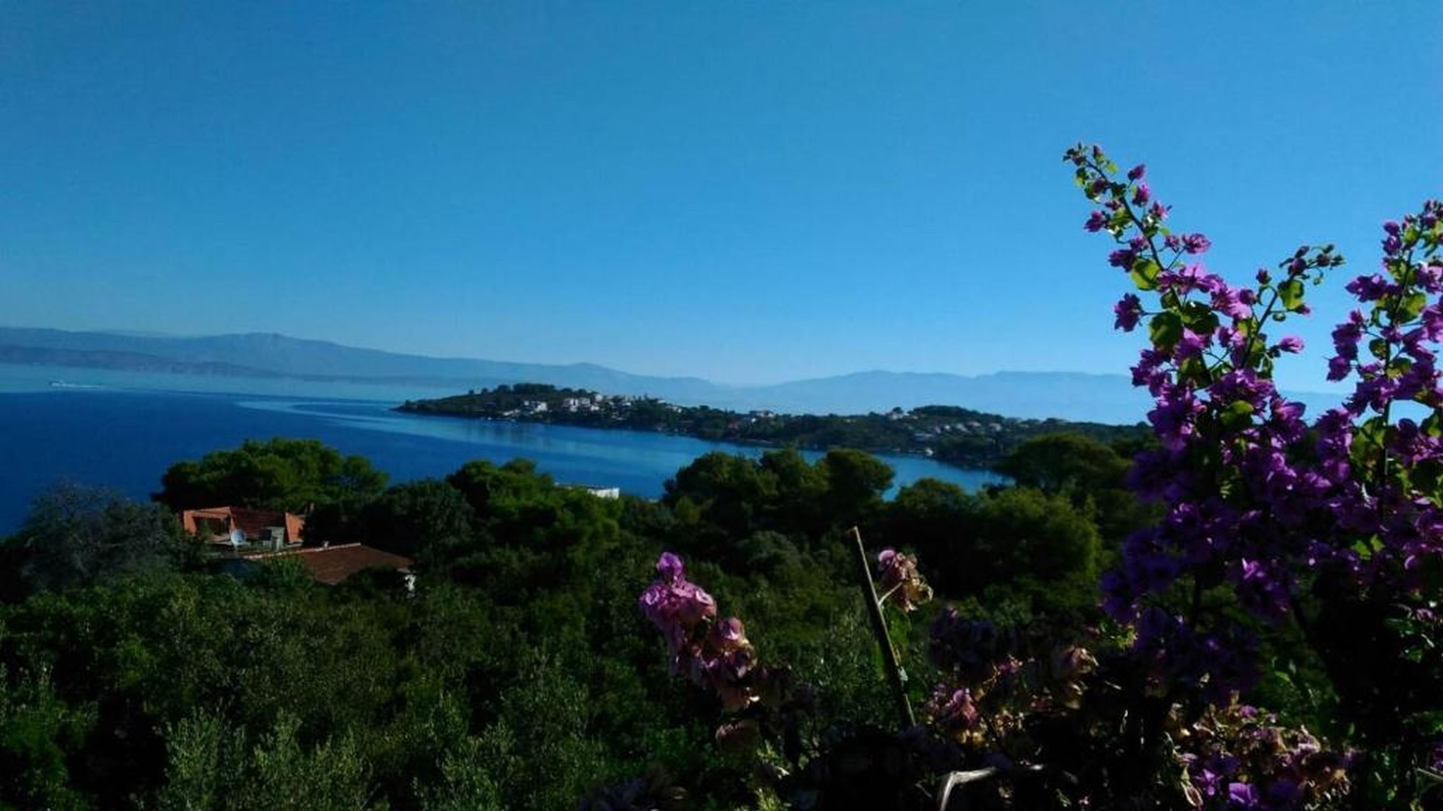 A coastal landscape with a view of the sea, a small settlement, and lush greenery.
