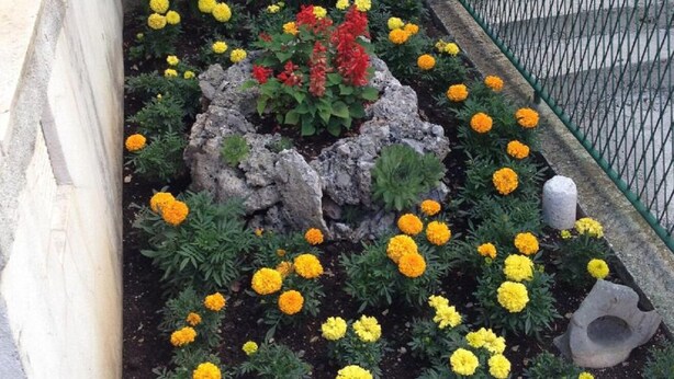A garden with a central rock feature surrounded by marigolds and other plants. - Apartments Smiljka (Makarska)
