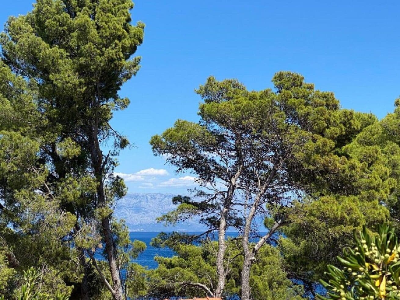 อพาร์ทเมนท์ (A2) | อื่นๆ