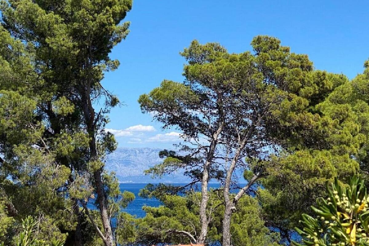 A coastal landscape with dense green trees and a clear blue sky.