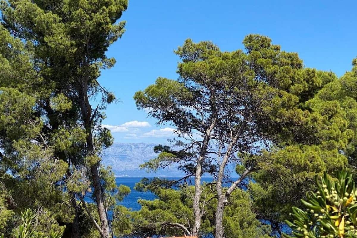 아파트 (A2) | 기타