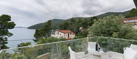 Departamento (A1) | Terraza o patio