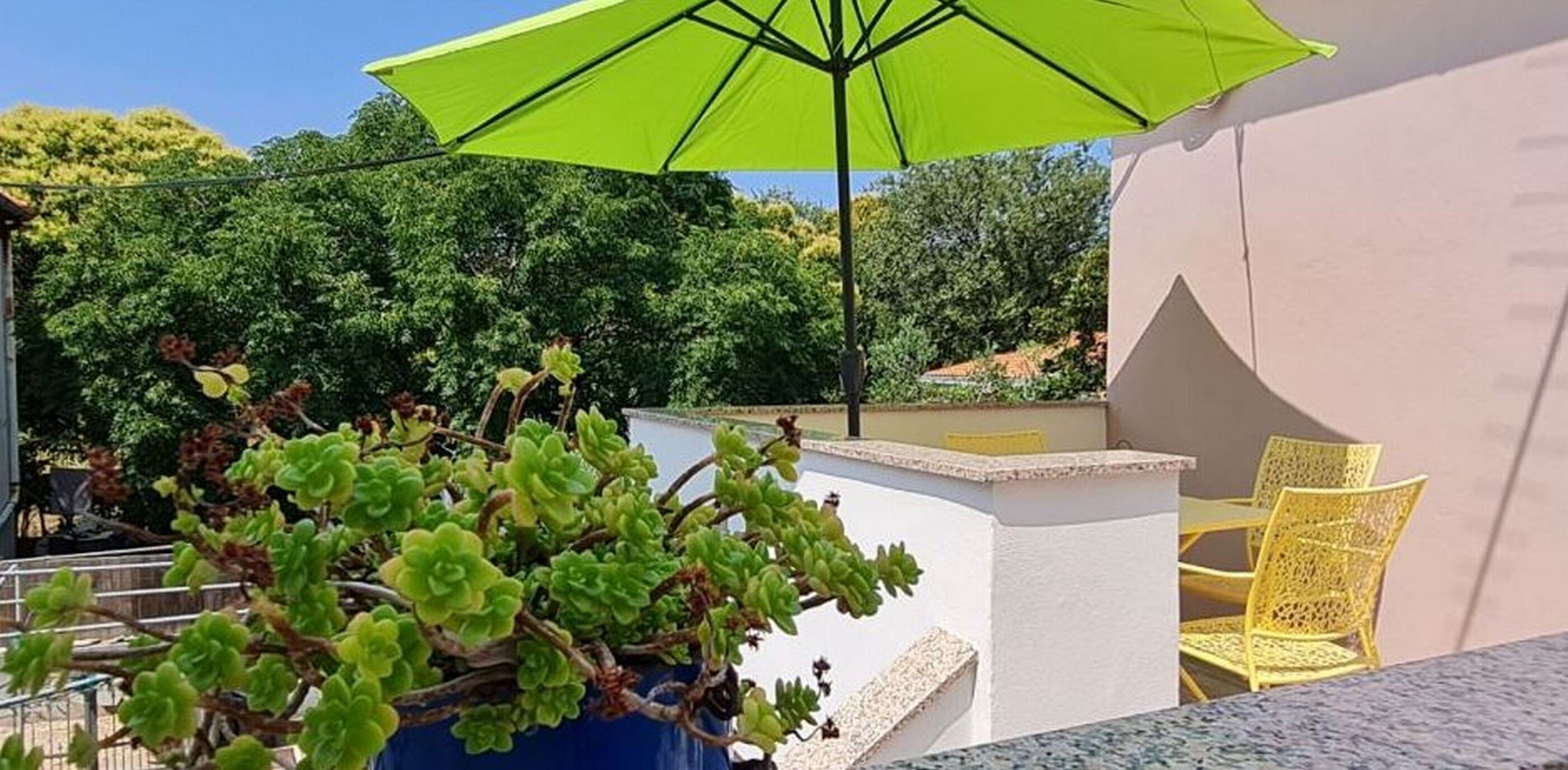 Studio (A1) | Terrace/patio