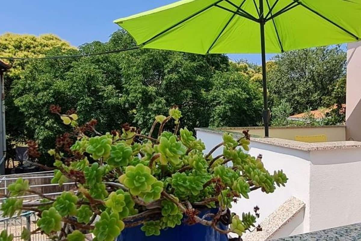 Studio (A1) | Terrace/patio