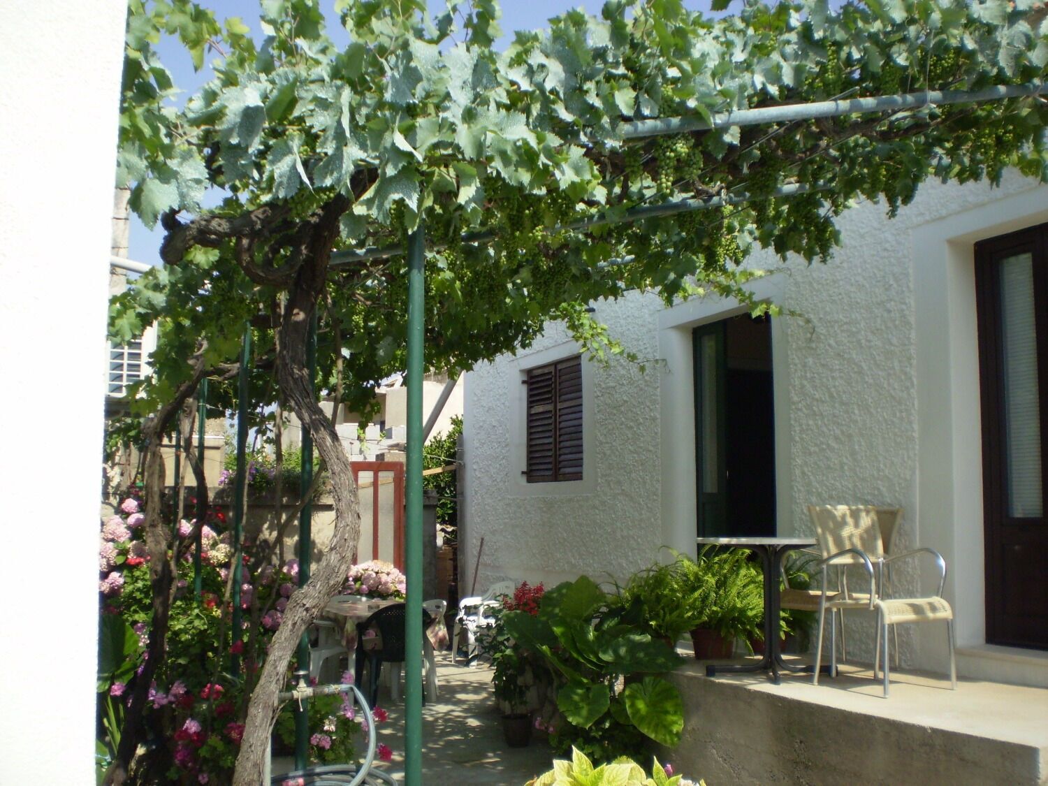 Un patio con una pérgola cubierta de parras, un edificio blanco con una ventana y mobiliario exterior.