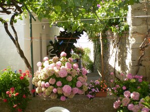 Courtyard - Apartment Smi (Sucuraj)