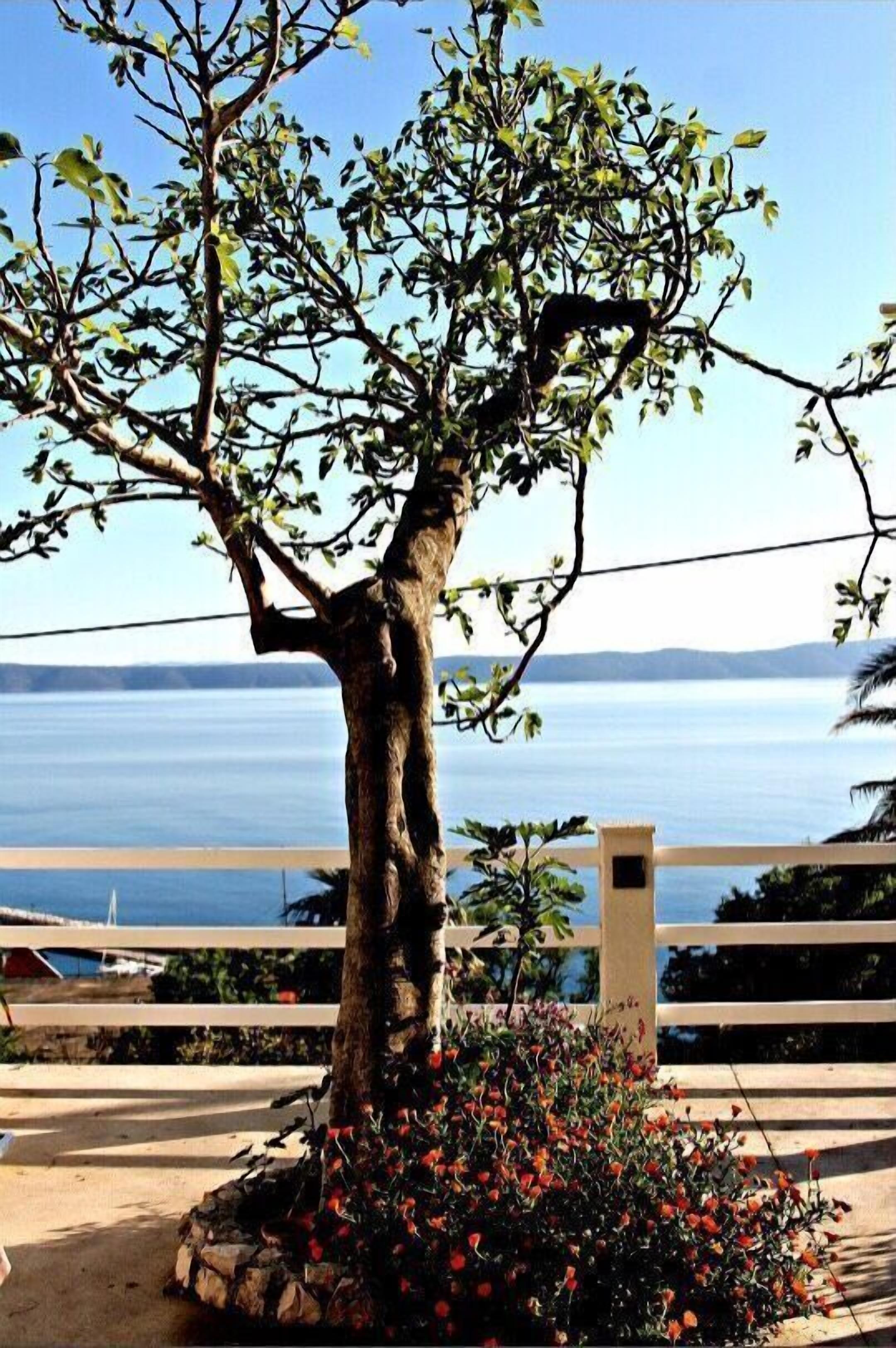 Στούντιο (A1) | Λεπτομέρεια εσωτερικού χώρου