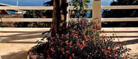 Στούντιο (A1) | Λεπτομέρεια εσωτερικού χώρου