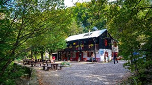Ngoại thất