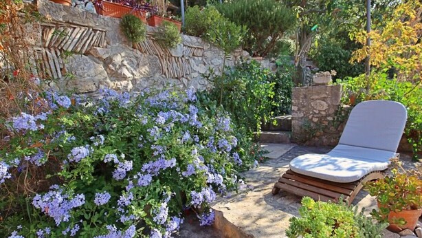 Un mur de pierres recouvert de plantes grimpantes, un banc en bois et des plantes grasses en pot.