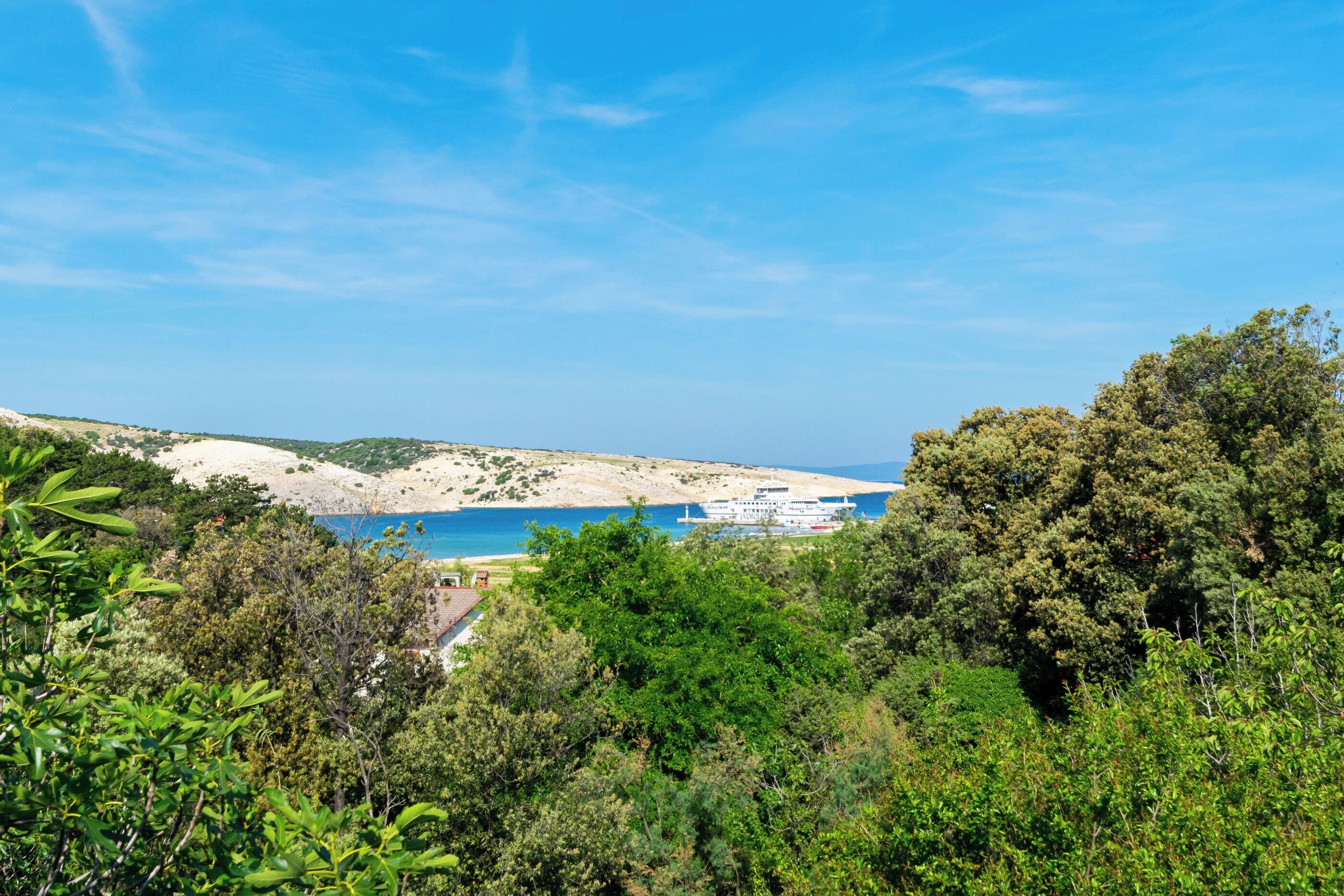 Apartemen (A2) | Teras/patio