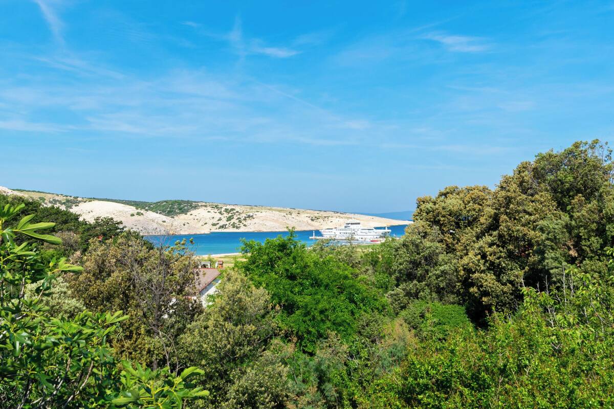 A coastal landscape with a beach, a cruise ship, and dense greenery.