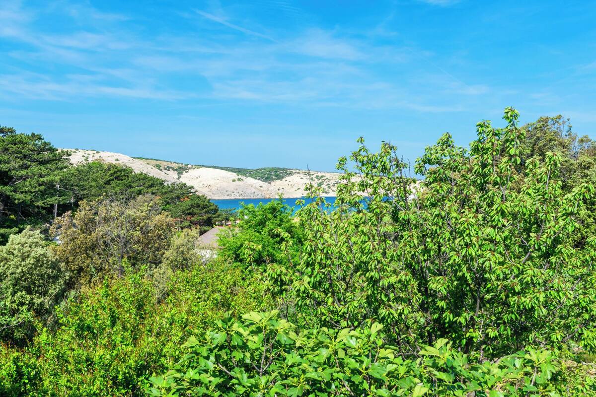 A coastal landscape with dense greenery and a clear blue sky.
