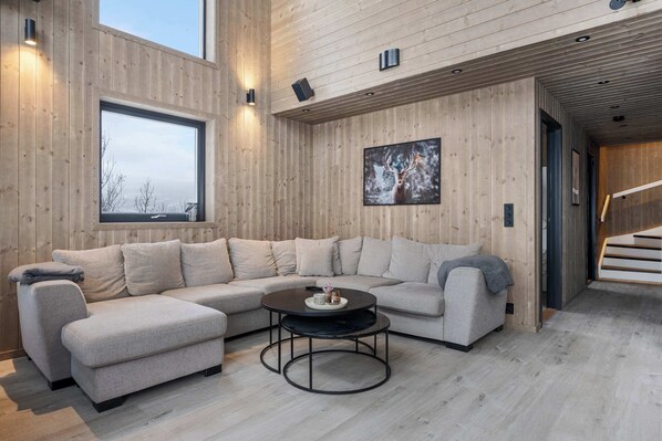 Télévision, cheminée, espaces bureaux