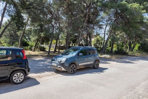 Ubetjent parkering (inkludert)