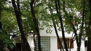 A white building with a staircase leading to a door, surrounded by trees. - Apartments Miro (Crikvenica)
