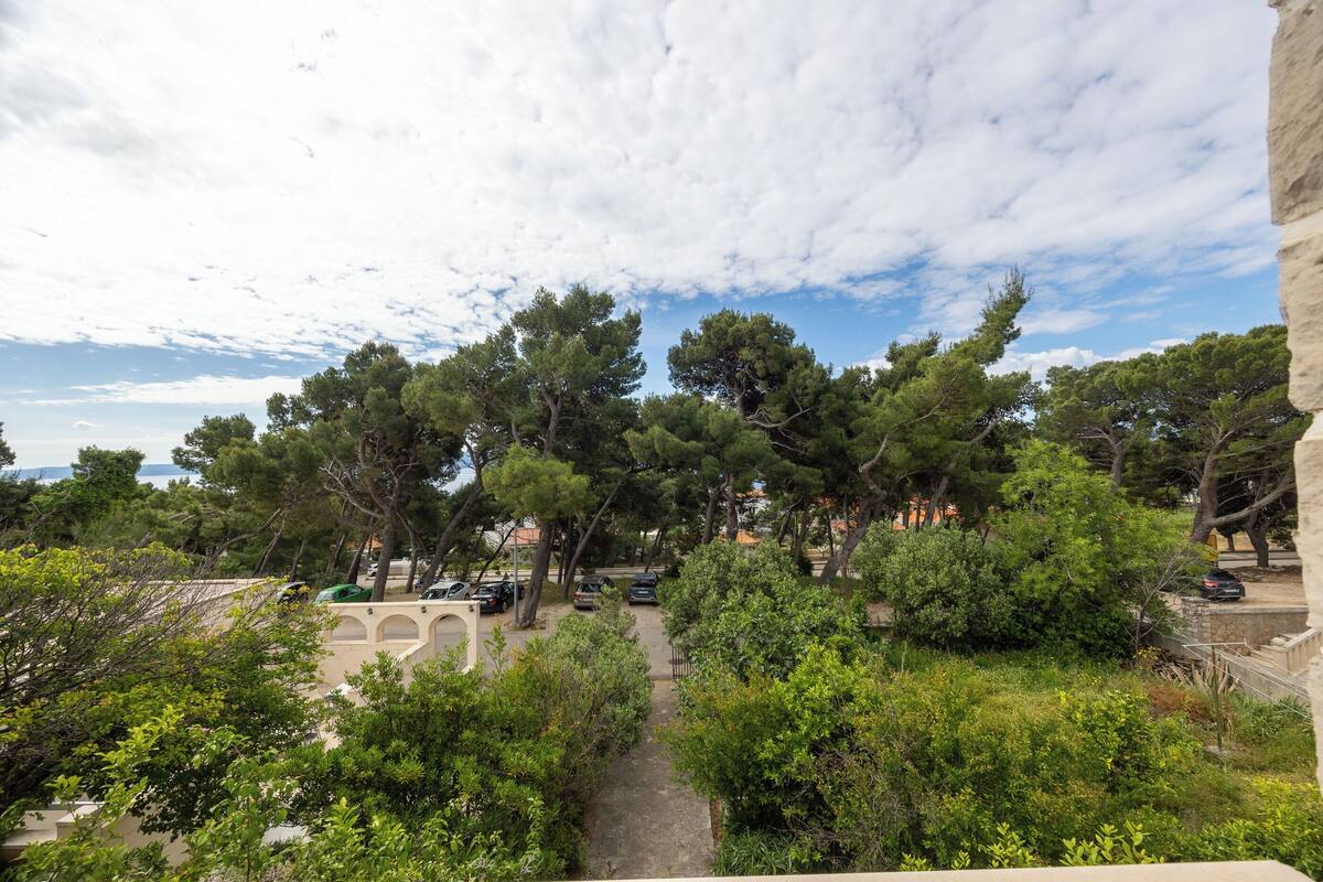 A courtyard with trees, a pathway, and parked cars.