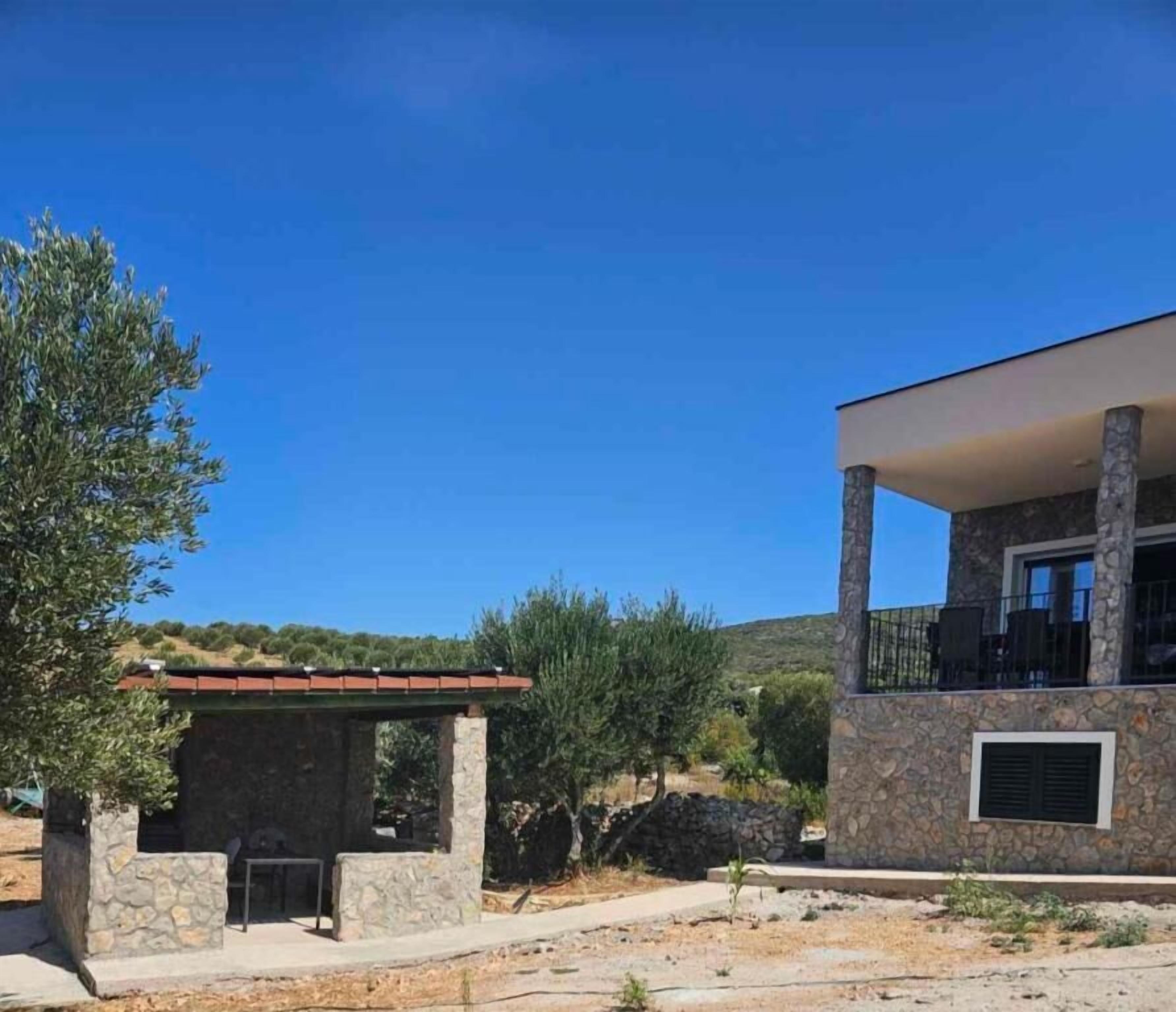 建物のデザイン