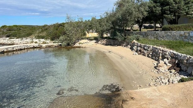 A beach with clear water, a stone wall, and trees. - House Sunshine (Pasman)