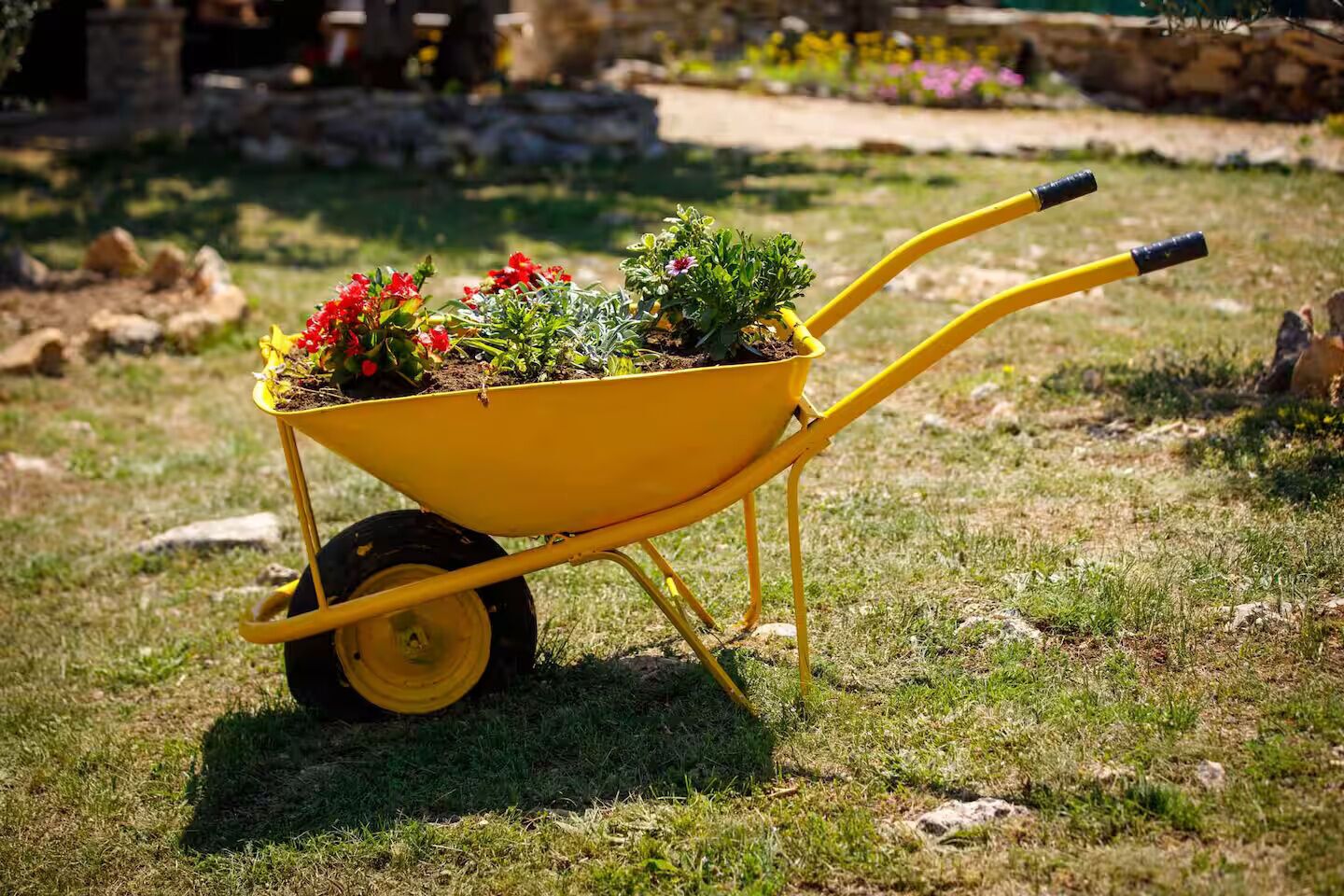 A yellow wheelbarrow filled with potted plants and flowers on a grassy lawn.