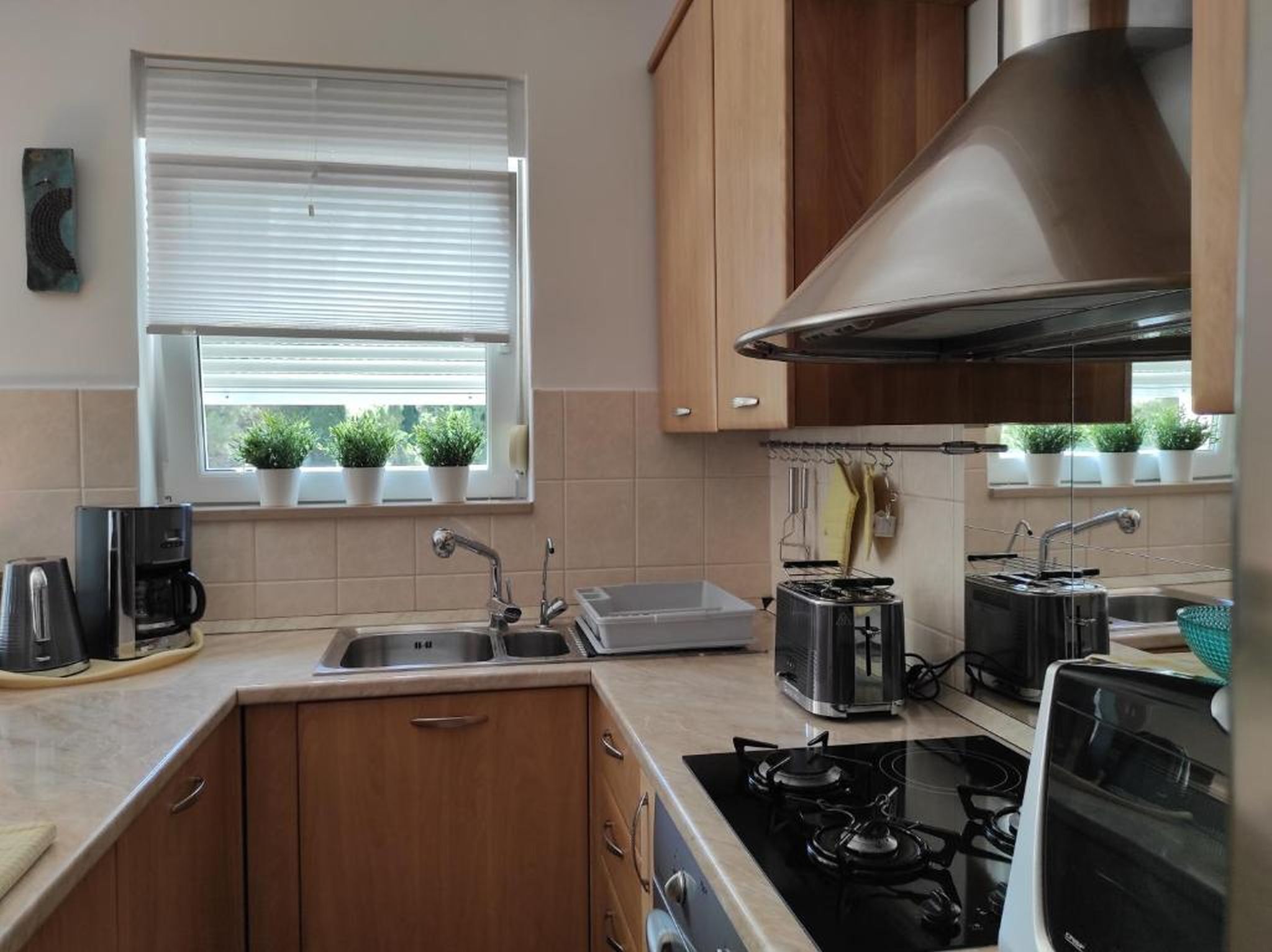 Apartment (A1) | Private kitchen