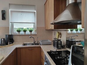 Apartment (A1) | Private kitchen | Fridge, microwave, oven, stovetop - Apartment Karolina (Pula)