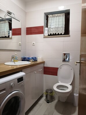 Appartement (A1) | Salle de bain | Douche, serviettes fournies, savon, shampooing