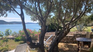 Un banco bajo un árbol con vistas a un cuerpo de agua, con un muro de piedra y mobiliario exterior al fondo.