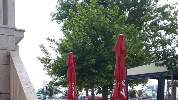 Een terras met rode parasols, houten banken en een plant in pot.