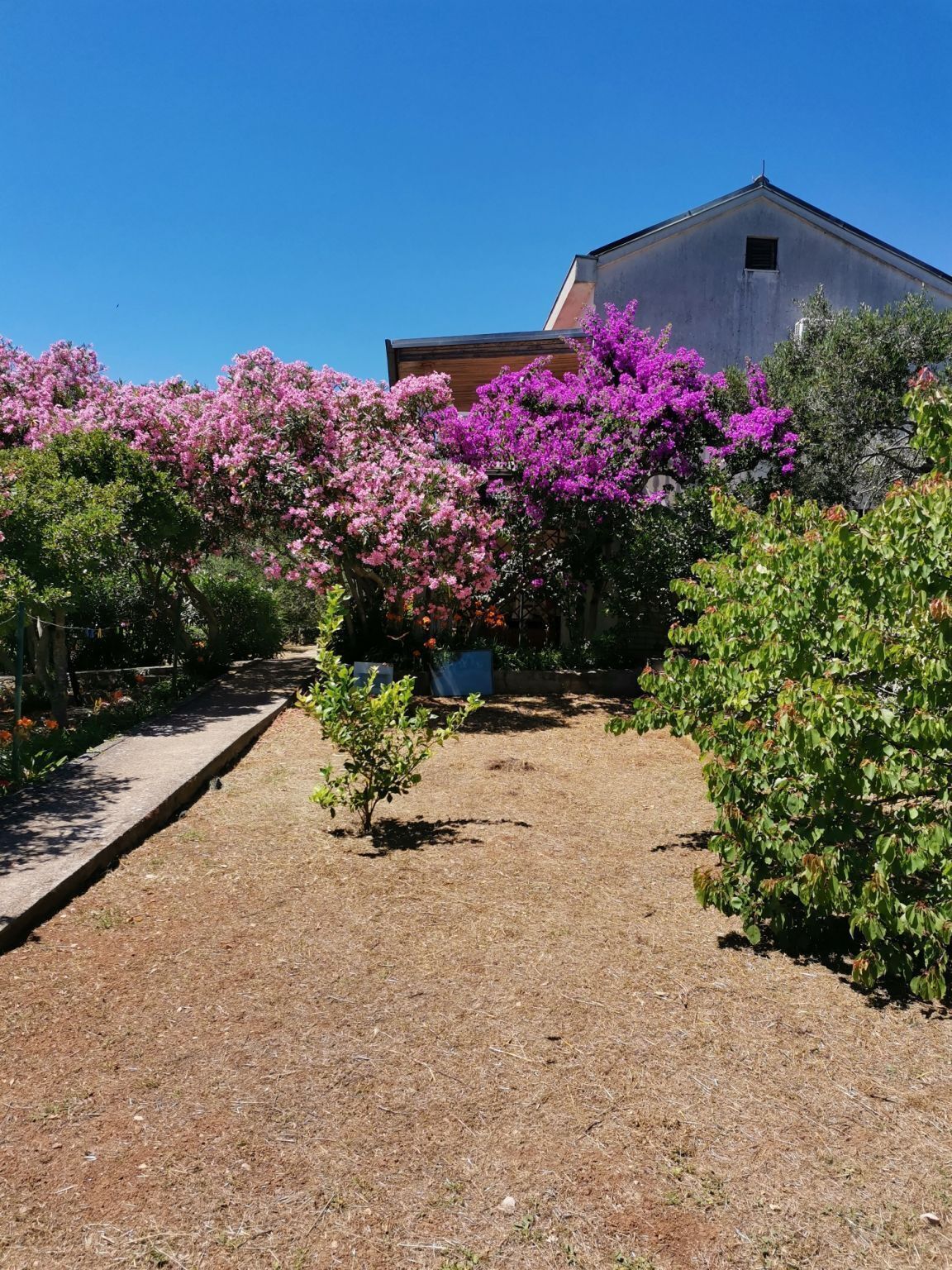 Ein Garten mit einem Kiesweg, der zu einem Gebäude mit Satteldach führt.
