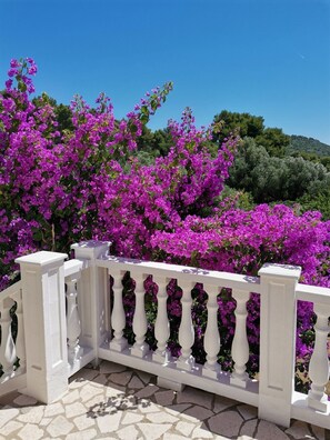 Balcony - Apartment Vanja (Mali Losinj)