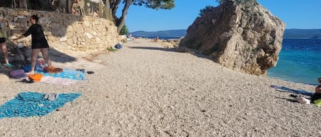 بالقرب من الشاطئ