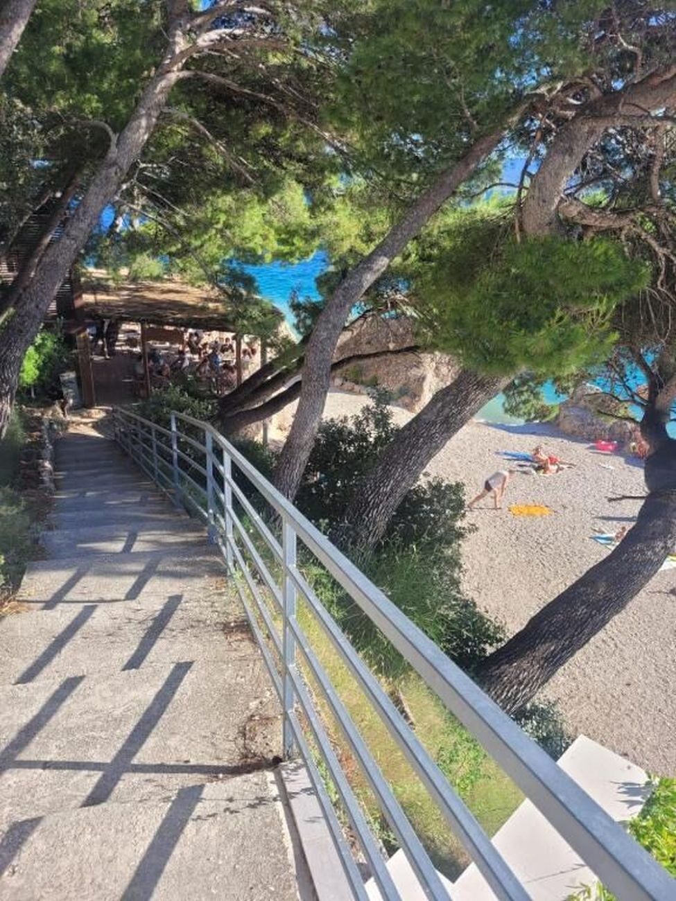 Un sentier qui mène à une plage, avec une rambarde d’un côté et des arbres de l’autre.