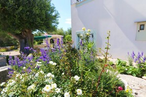 Courtyard - Apartments Vacation Jakisnica (Novalja)