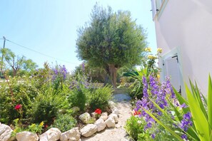 A garden with a variety of plants and flowers, a pathway, and a tree. - Apartments Vacation Jakisnica (Novalja)