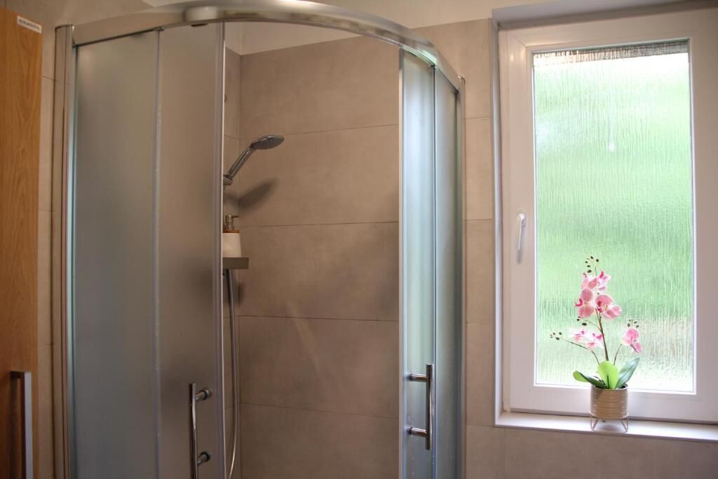 Una ducha con puerta de vidrio, una ventana con vistas y una orquídea en maceta en el alféizar.