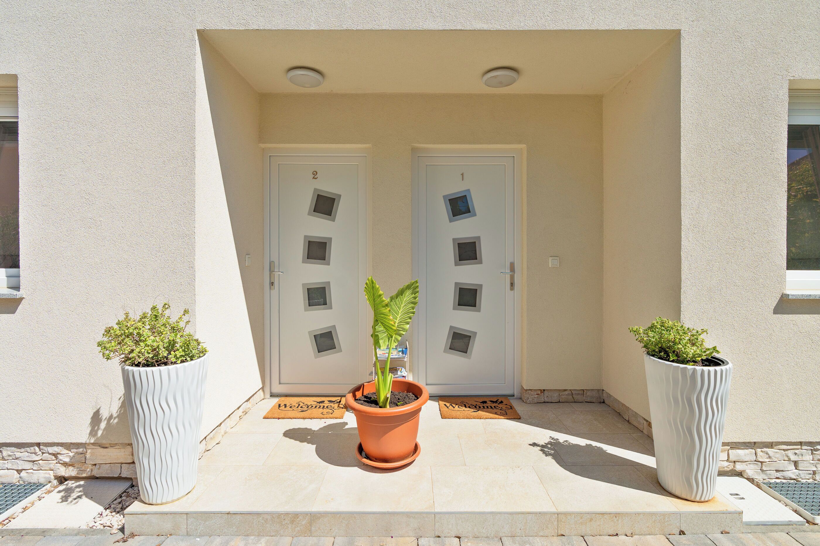 Une entrée d’immeuble avec deux portes, une plante en pot au centre et un paillasson.