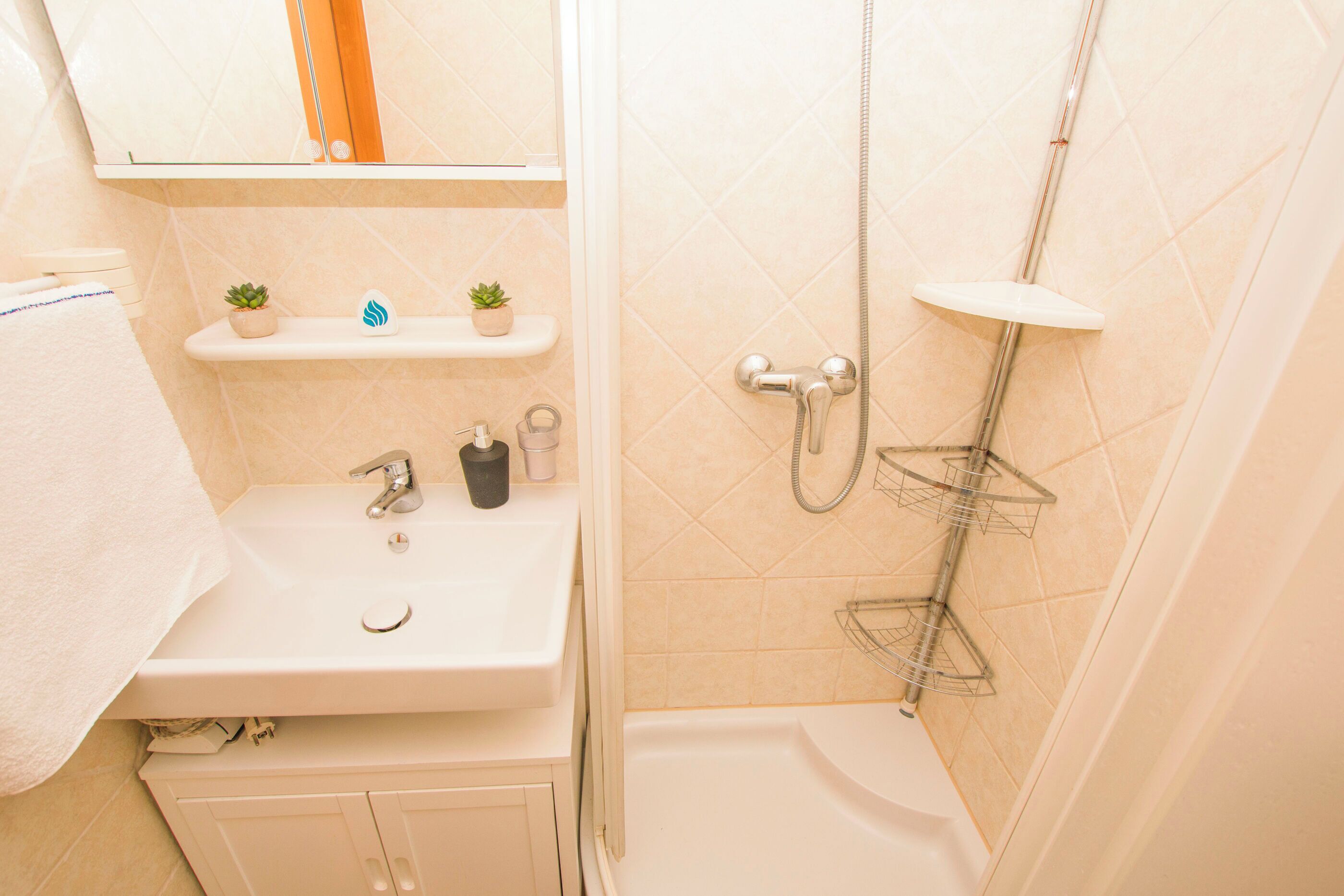 A bathroom with a sink, mirror, two small shelves with plants, a shower with a handheld showerhead, and a towel rack.