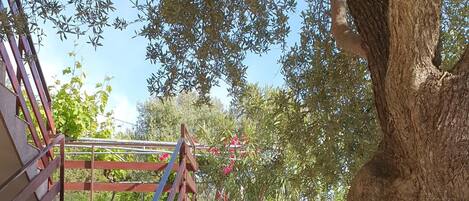 DĂ©tail de lâextĂ©rieur