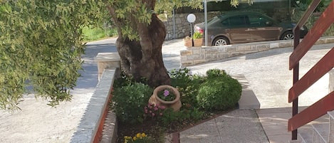 Áreas de la propiedad