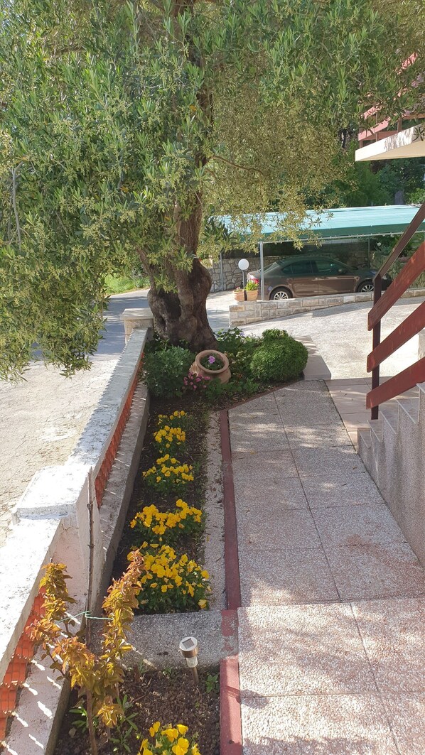 Jardines del alojamiento