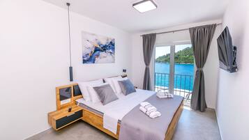 House | Iron/ironing board, free WiFi