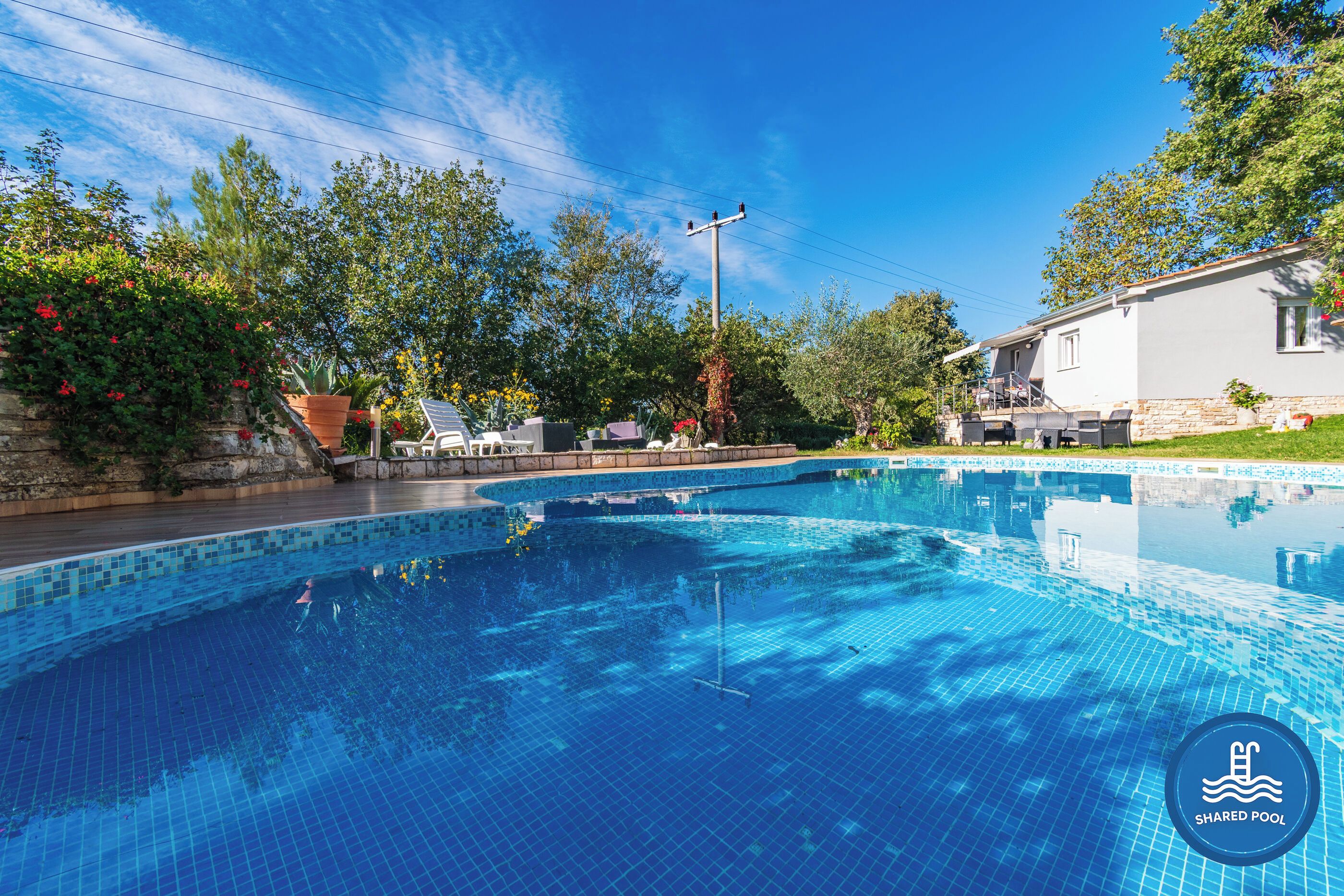 A shared pool with clear blue water, surrounded by greenery and a house.